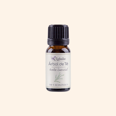 Aceite esencial de árbol de té